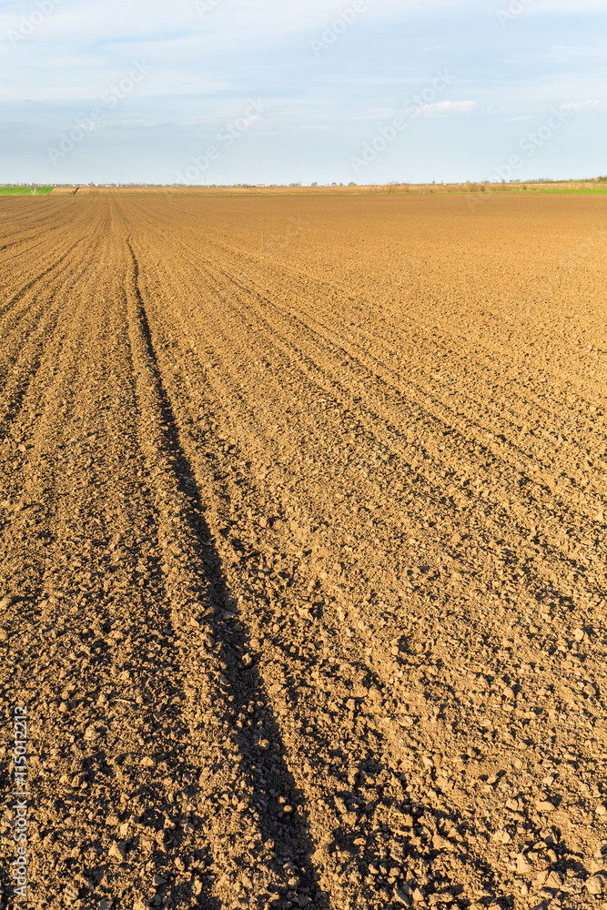 Agricultural landscape, arable crop field Agricultural landscape, arable crop field