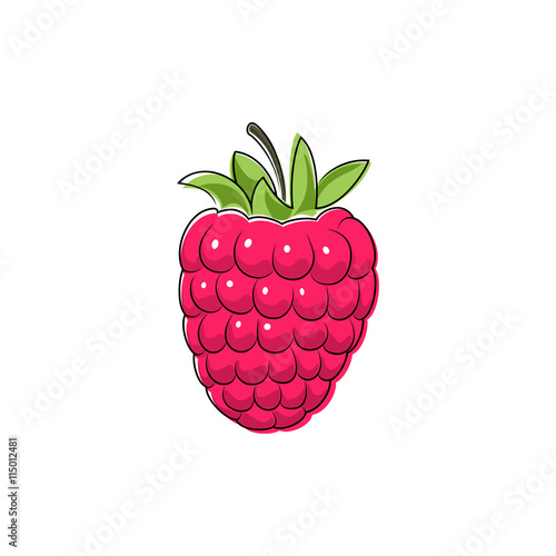 Pink Berry Raspberries Isolated on White, Fruit Raspberries, Vector Illustration