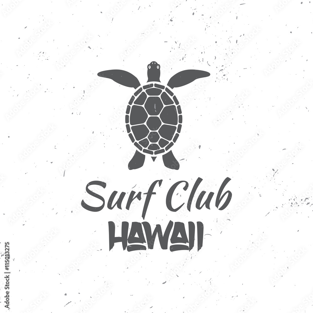 Fotografie Surf club concept