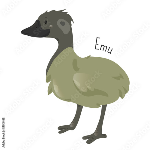 Emu isolated on white. Cartoon character