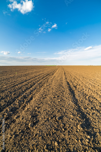 Agricultural landscape, arable crop field