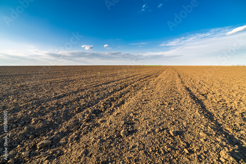 Agricultural landscape  arable crop field