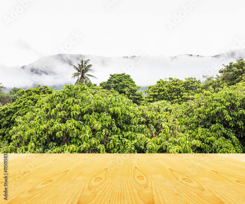  Wooden table top with nountain in fog background photo