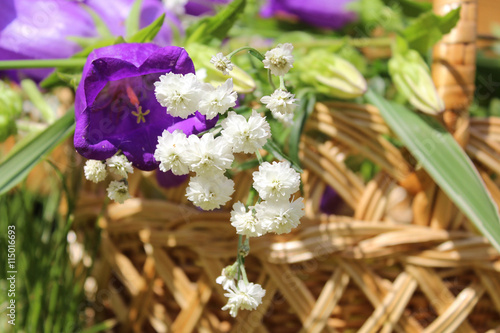 Campanula and small white flowers in a basket
