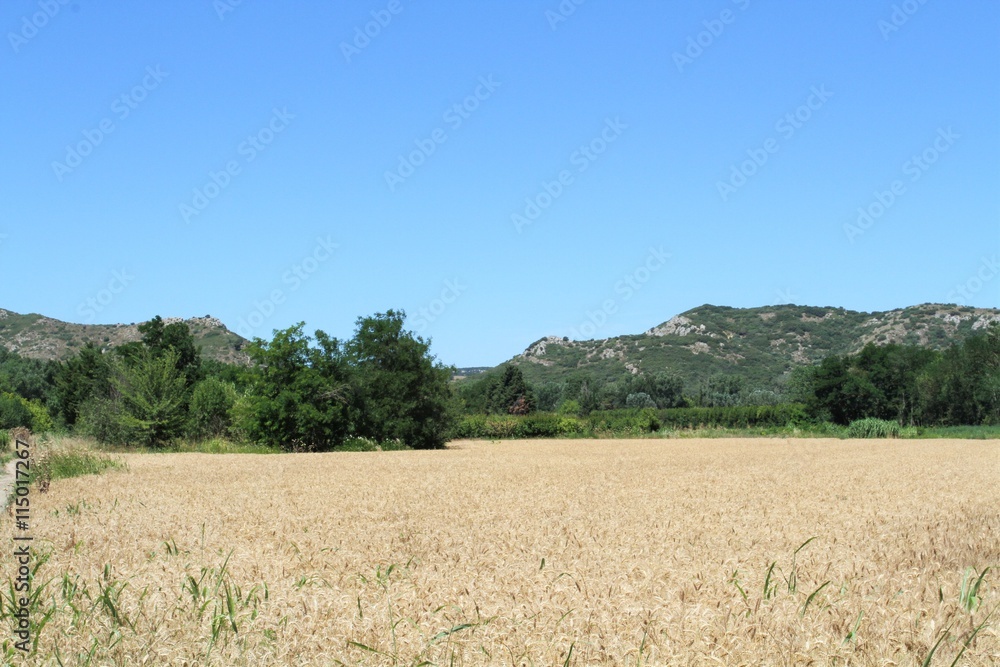 paysage de Provence 04072016