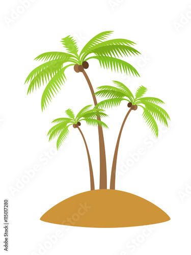 Palm Tree with Coconut