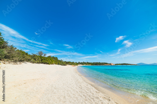 blue sea over La Celvia beach