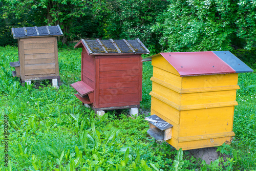 Hives. Beekeeping.