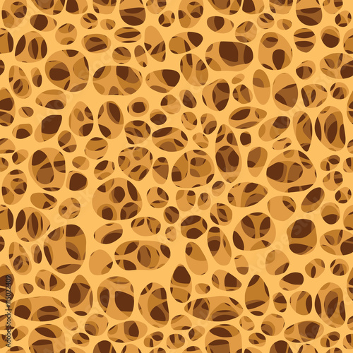 Bone spongy structure seamless photo