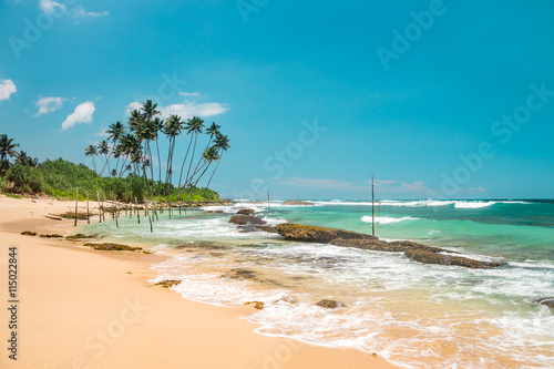 Fototapeta Naklejka Na Ścianę i Meble -  Nature of Asia: Sri Lanka. Sunny ocean beach.