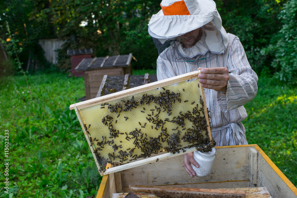 Beekeeper is working with bees and beehives on the apiary. Beekeeper is working with bees and beehives on the apiary.