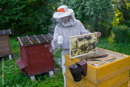 Beekeeper is working with bees and beehives on the apiary. © Aleks Kend