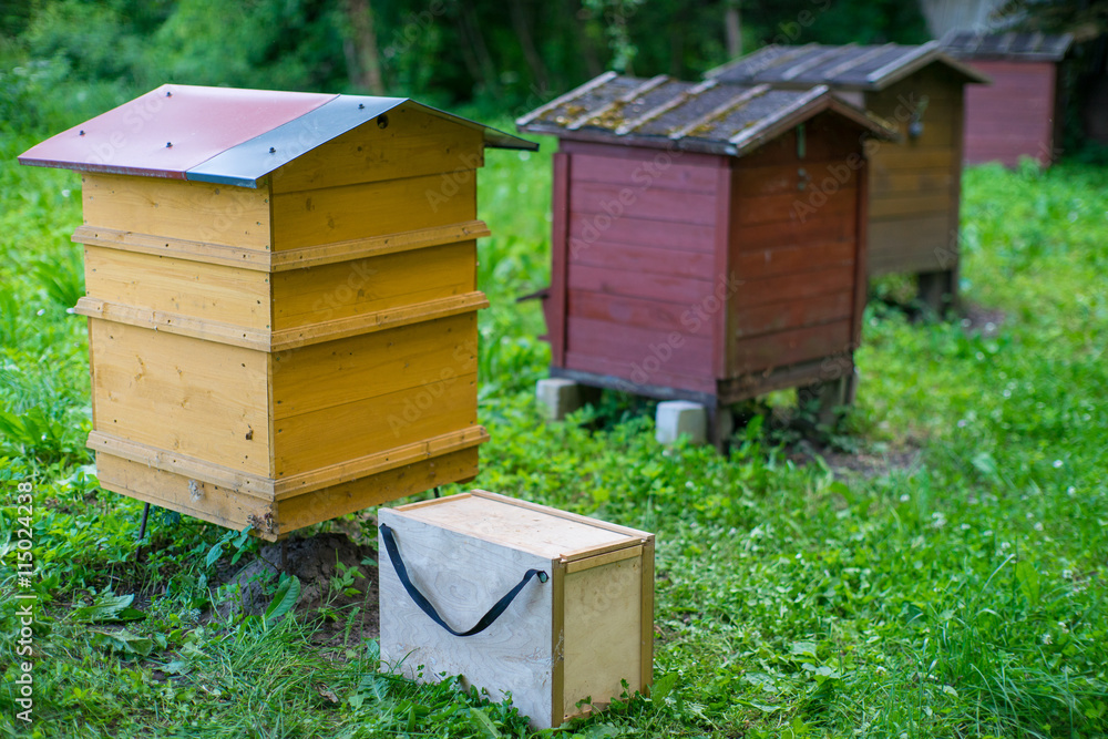 On an apiary. On an apiary.