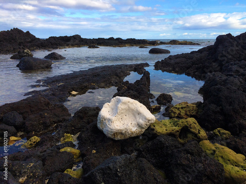Large piece of coral on a volcanic coastline at sunrise