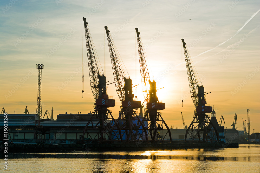 silhouette of port cranes in the evening