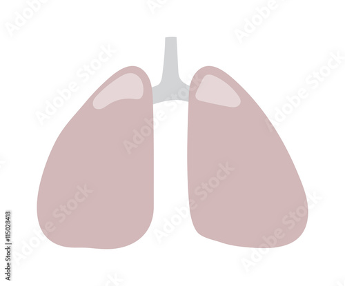 Human lungs icon vector illustration. Health care lungs icon breathe shape biology, anatomy organ. Respiratory pulmonary lungs icon bronchial organ design science healthcare element.