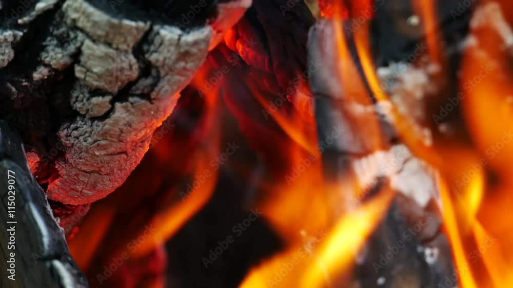 Real Orange Fire Flame With Coal Real Orange Fire Flame With Coal