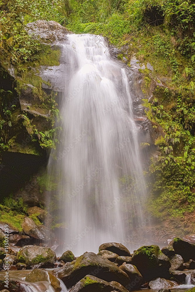 Fototapeta premium The lost waterfall trail near Boquete in Panama. Fall number thr