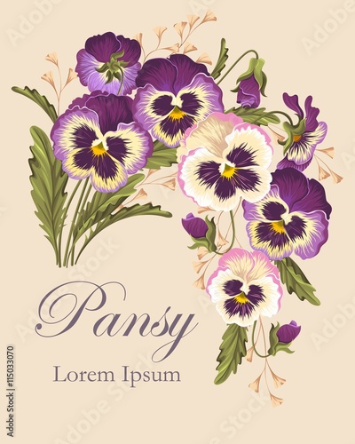 Vintage card with pansies