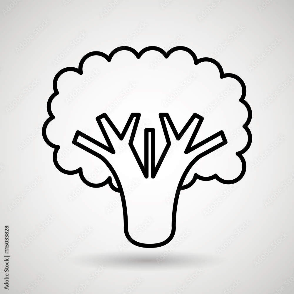 broccoli drawing isolated icon design, vector illustration graphic broccoli drawing isolated icon design, vector illustration graphic