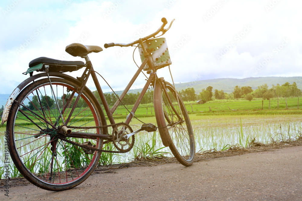 Bicycle on green field