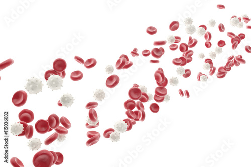 Fototapeta Naklejka Na Ścianę i Meble -  Red and white blood cells isolated on white background. Medical concept. 3d illustration