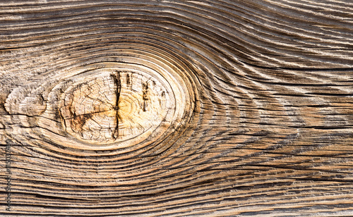 Wood Knot
