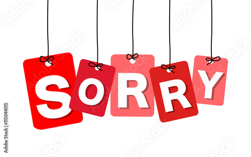Vector colorful hanging cardboard. Tags - sorry