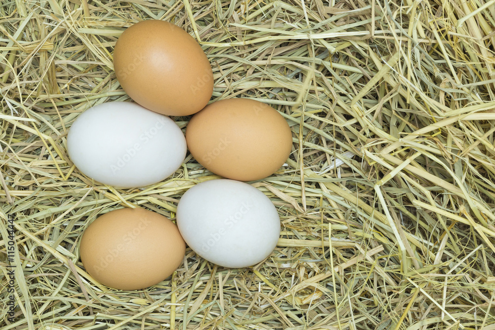 Fresh brown eggs and white egg