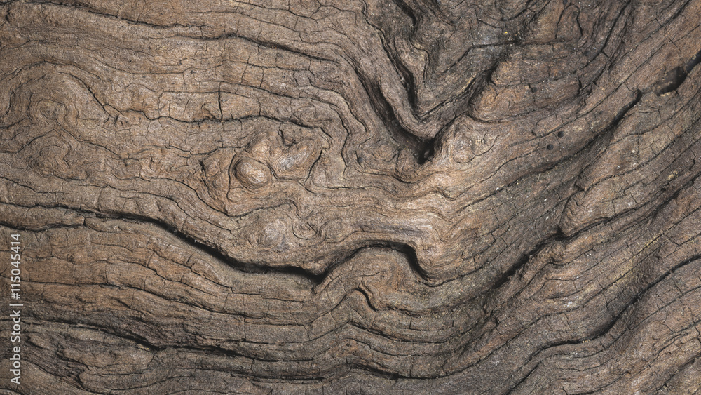 Naklejka premium Old wood texture