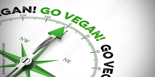 Kompass zeigt auf Go vegan!