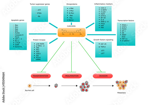 curcumin and its anticancer properties