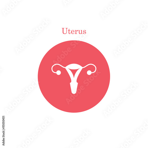 Vector uterus outline icon