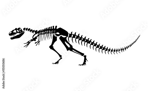 Vector illustration of dinosaur bones. Isolated tyrannosaur skeleton on white background.