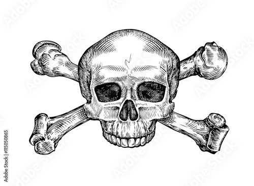 Jolly roger. Hand drawn human skull and crossbones. Sketch vector illustration