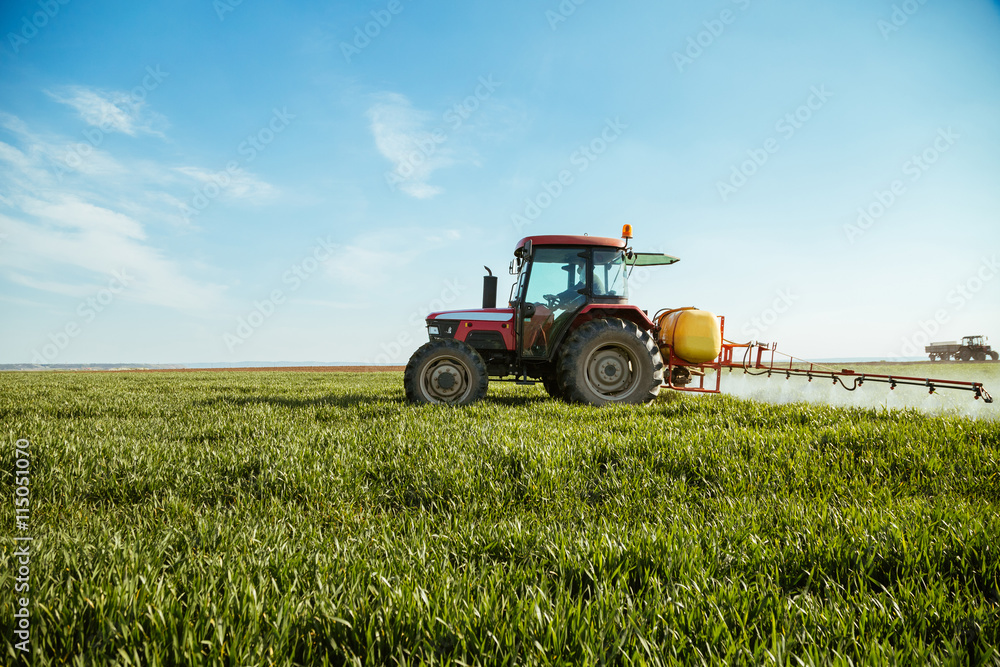 Obraz premium Farmer spraying green wheat field