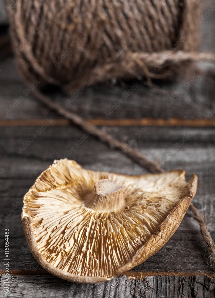 Single dried shiitake mushroom