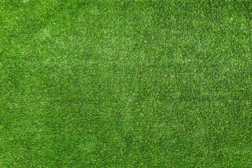 Green grass background