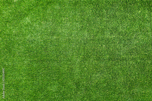 Green grass background