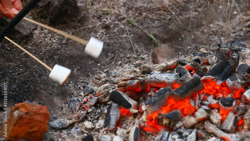 People roasting marshmallows. People roasting marshmallows.