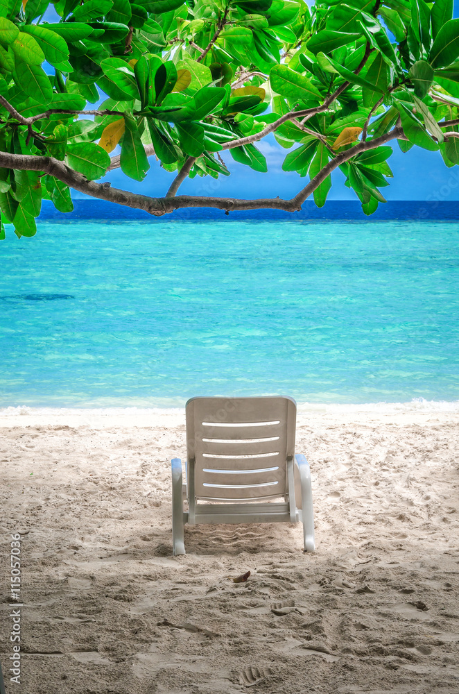 An empty beach chair on the beach under the branch of an exotic tree