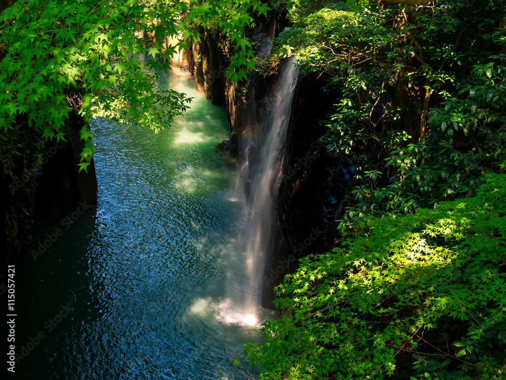 Obraz premium 真名井の滝