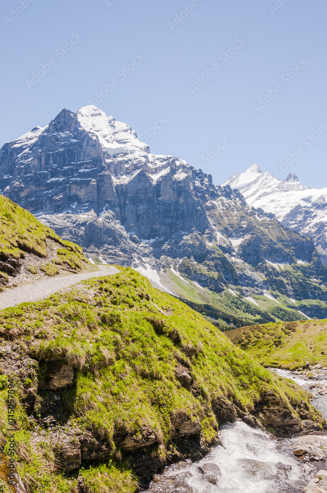 Grindelwald, Berner Oberland, Alpen, Wetterhorn, Schreckhorn, Grosse Scheidegg, Wanderweg, Höhenweg, Bergbach, Sommer, Schweiz