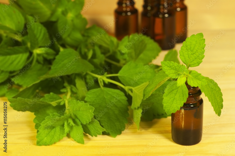Essential oils in the glass bottles Essential oils in the glass bottles