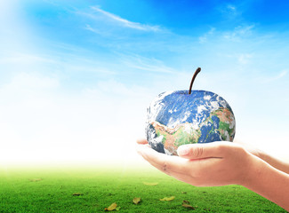 Hands holding earth apple shape on green grass and blue sky background for environment concept