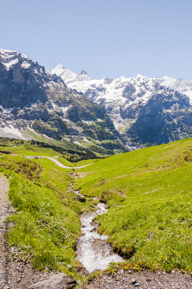 Grindelwald, Alpen, Schreckhorn, Berner Oberland, Wetterhorn, First, Wanderweg, Höhenweg, Grosse Scheidegg, Bergbach, Schweizer Berge, Sommer, Schweiz