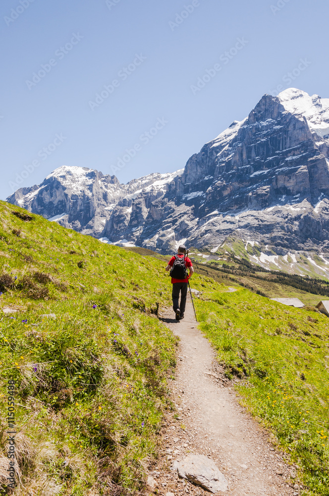 Grindelwald, Alpen, Berner Oberland, Grosse Scheidegg, Wetterhorn, Engelhörner, Wanderweg, First, Wanderer, Sommer, Schweiz