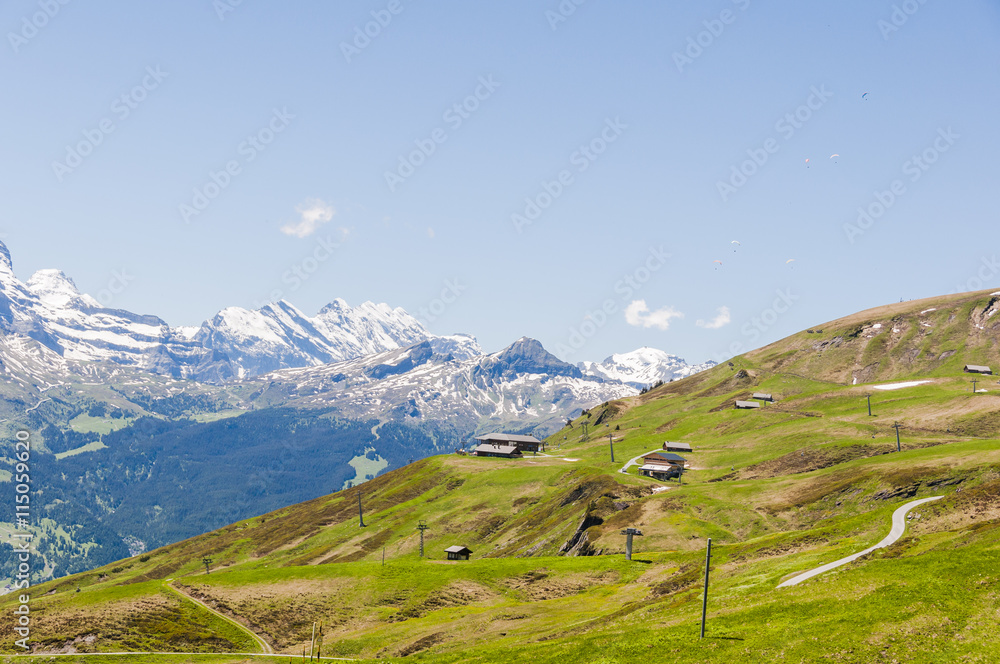 Grindelwald, Berner Oberland, First, Höhenweg, Wanderweg, Schreckfeld, Kleine Scheidegg, Lauberhorn, Männlichen, Alm, Schweizer Berge, Sommer, Schweiz
