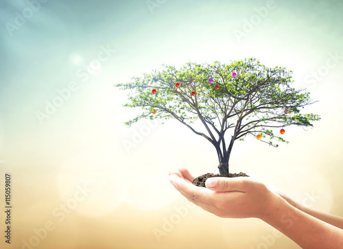 World environment day concept: Human hands holding fruitful tree over blurred green nature background