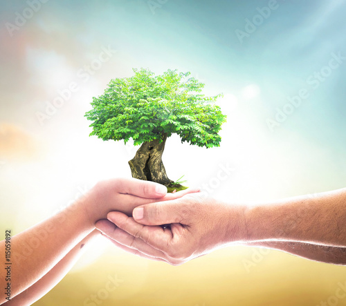World environment day concept: Two human hands holding big tree over blurred green nature background.